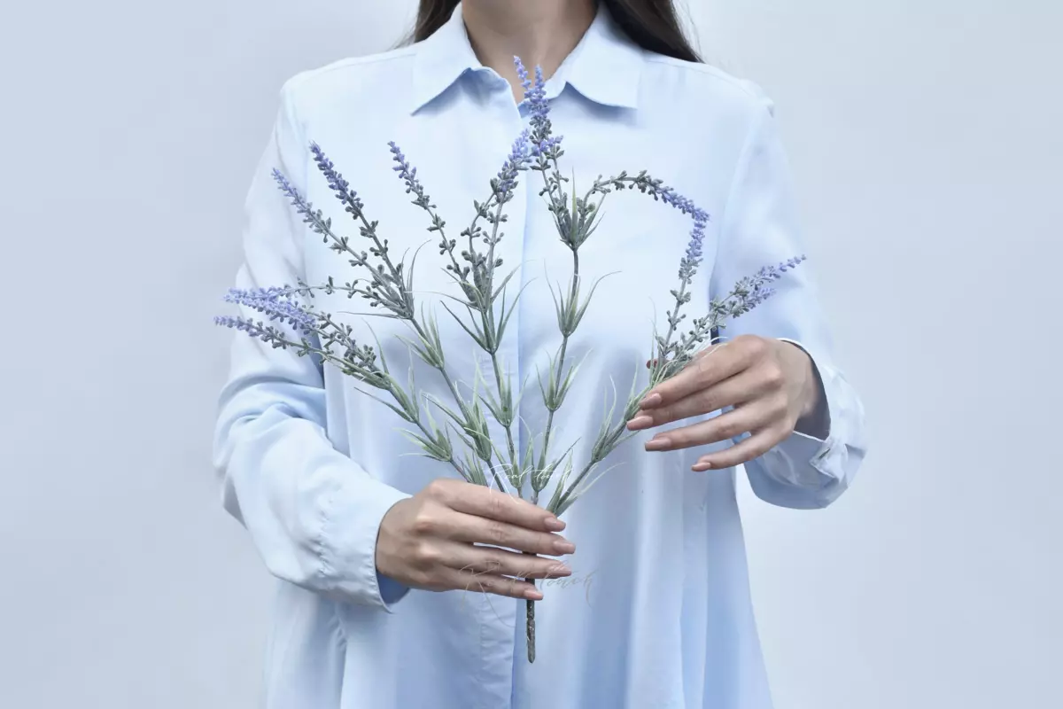 Broad - leaved lavender - purple