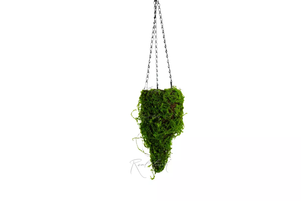 Hanging planter Cone Moss 1# - green