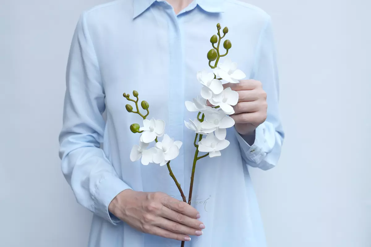 Phalaenopsis small orchid (type 4) - white