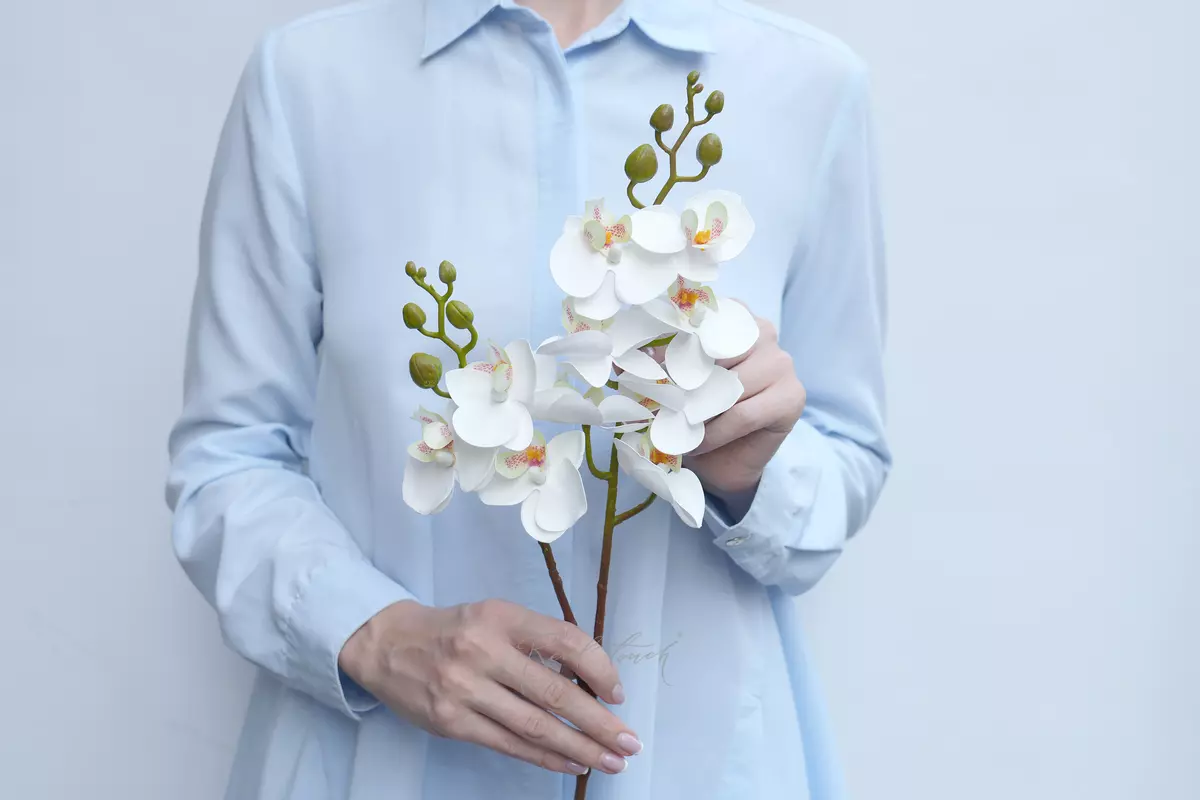 Phalaenopsis small orchid (type 2) - white