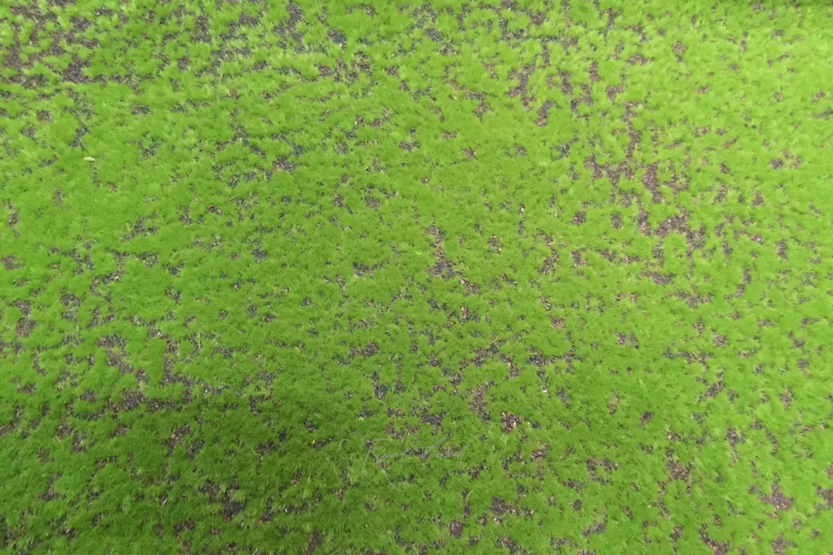 Moss with Synthetic Insulation 043, 2*1 m - green