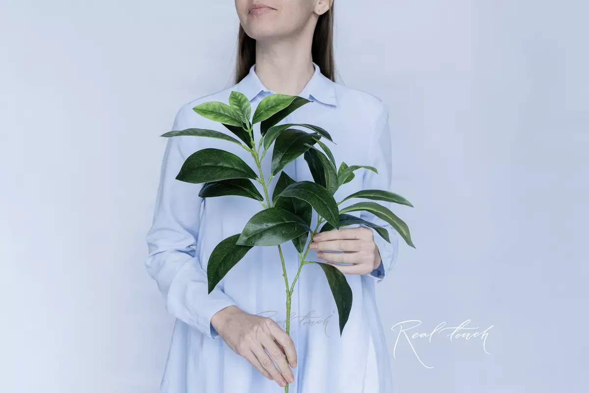 Ficus branch Samantha - green