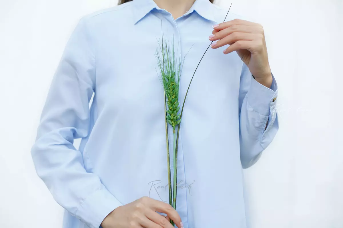 Wheat ear - green