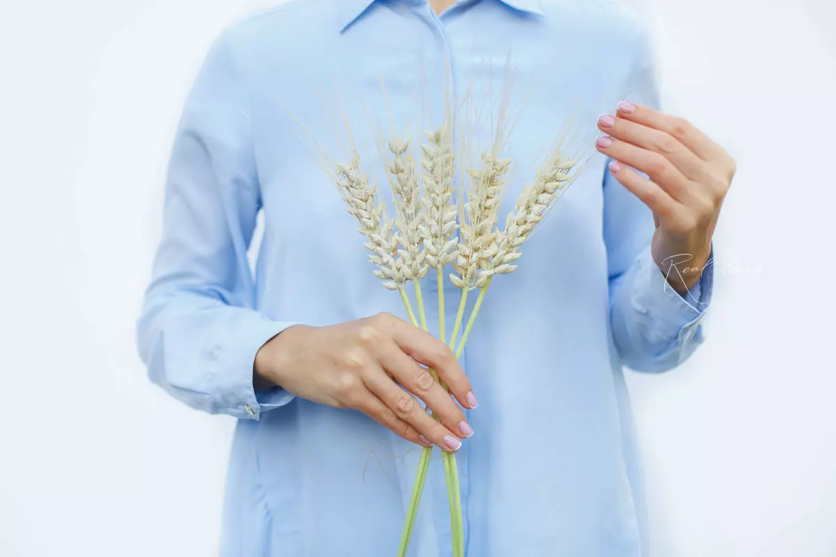 Bunch of wheat ears of 5 pcs - Milk