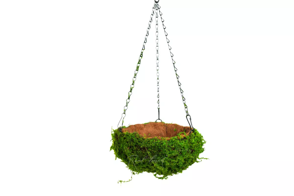 Hanging flowerpot Hemisphere Moss 3# - green