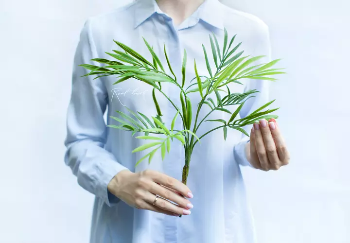 Bamboo palm branch small  - green
