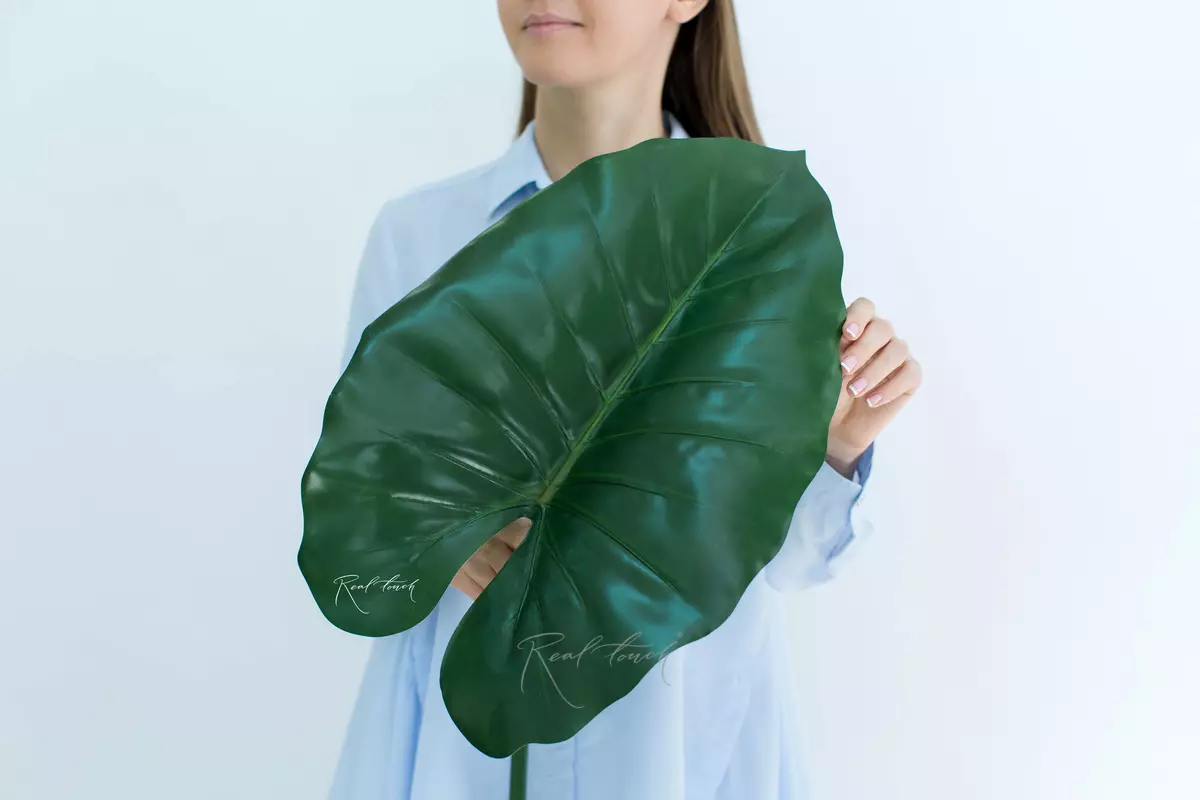 Alocasia leaf 100cm - green