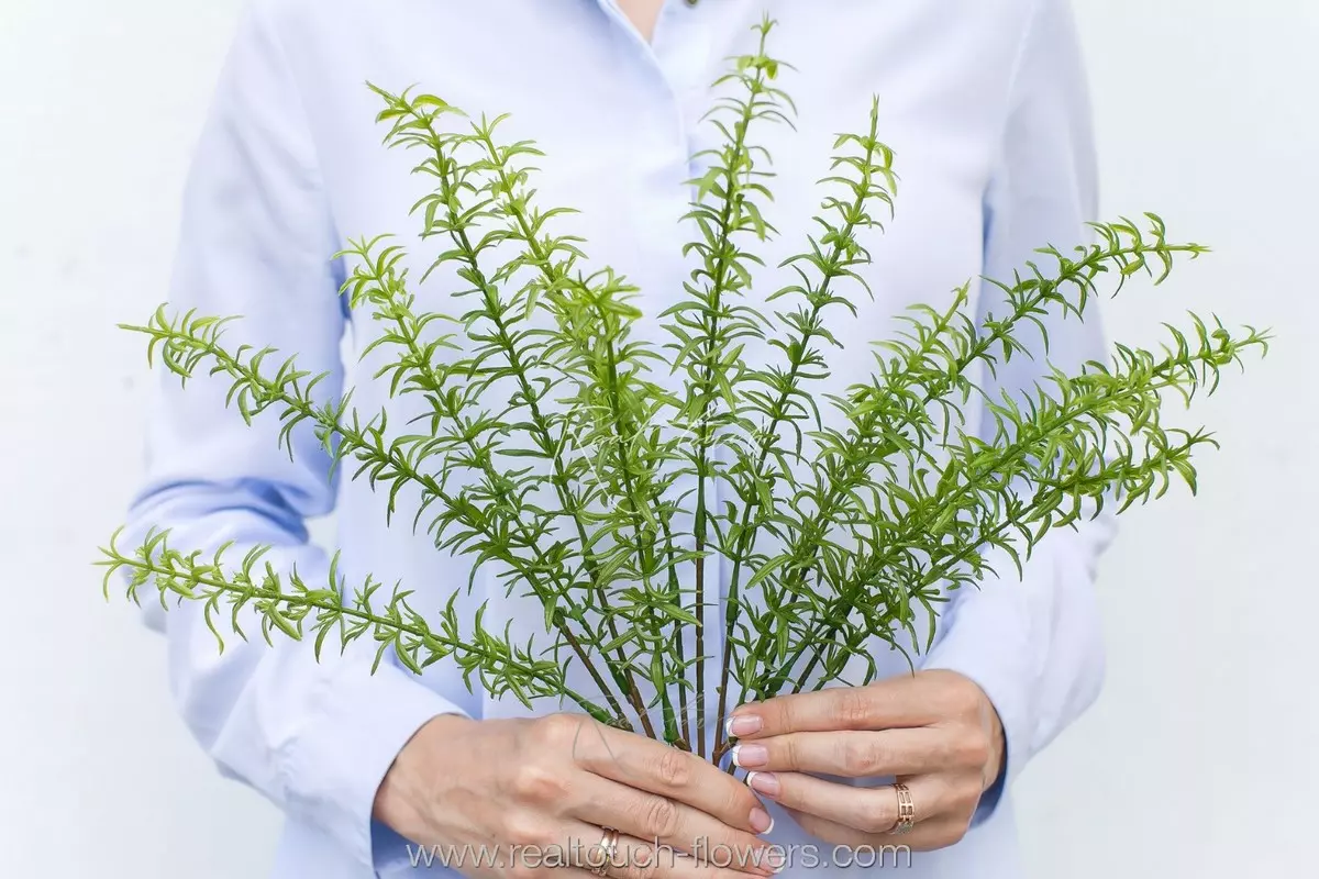 Tarragon (Greenery 3) - green Tarragon (Greenery 3) - green