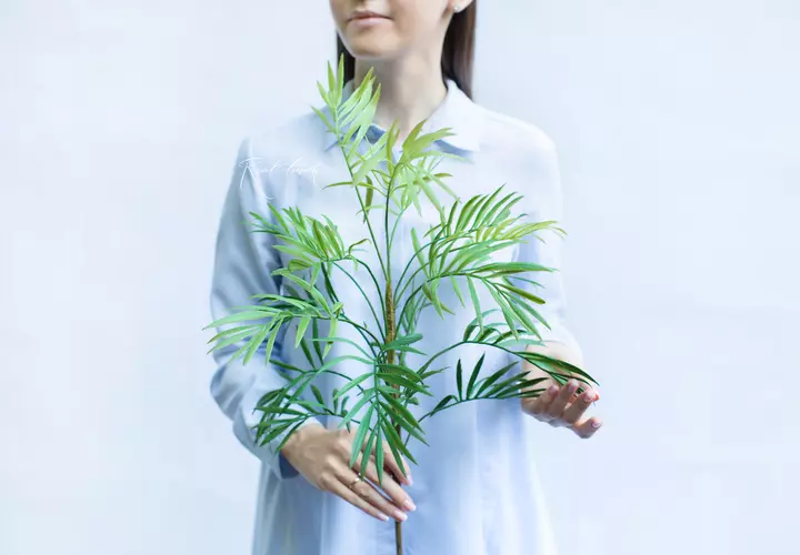 Bamboo palm branch high - green