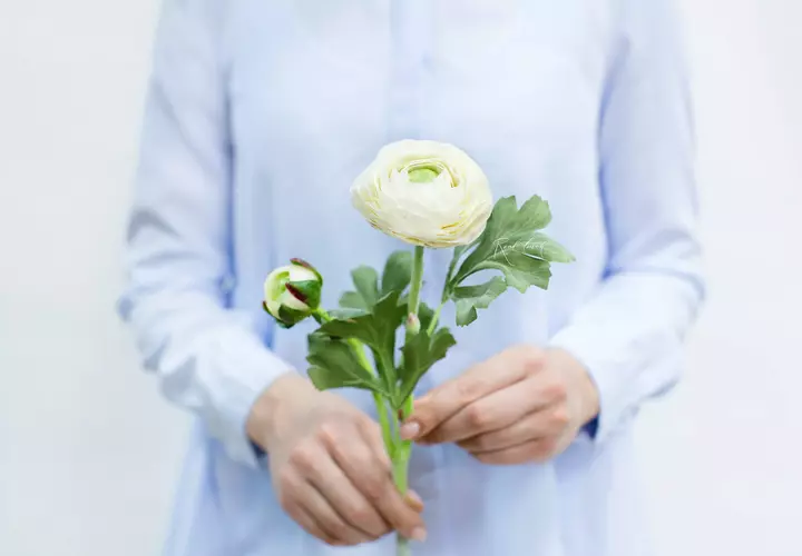 Real Touch Ranunculus Clooney - white