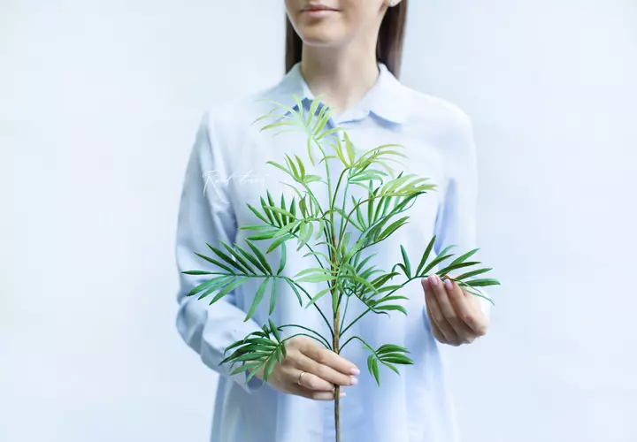 Bamboo palm branch medium - green
