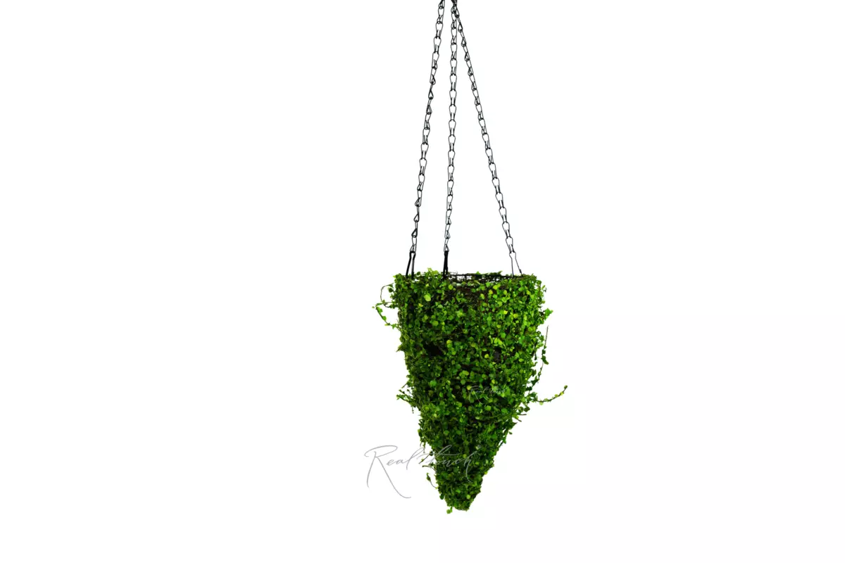 Hanging flowerpot Cone 1# - green