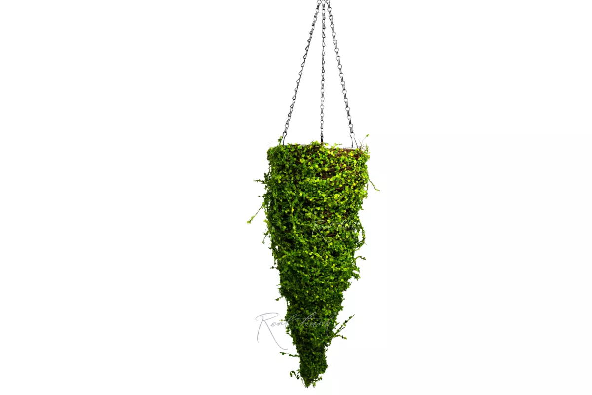 Hanging flowerpot Cone 3# - green
