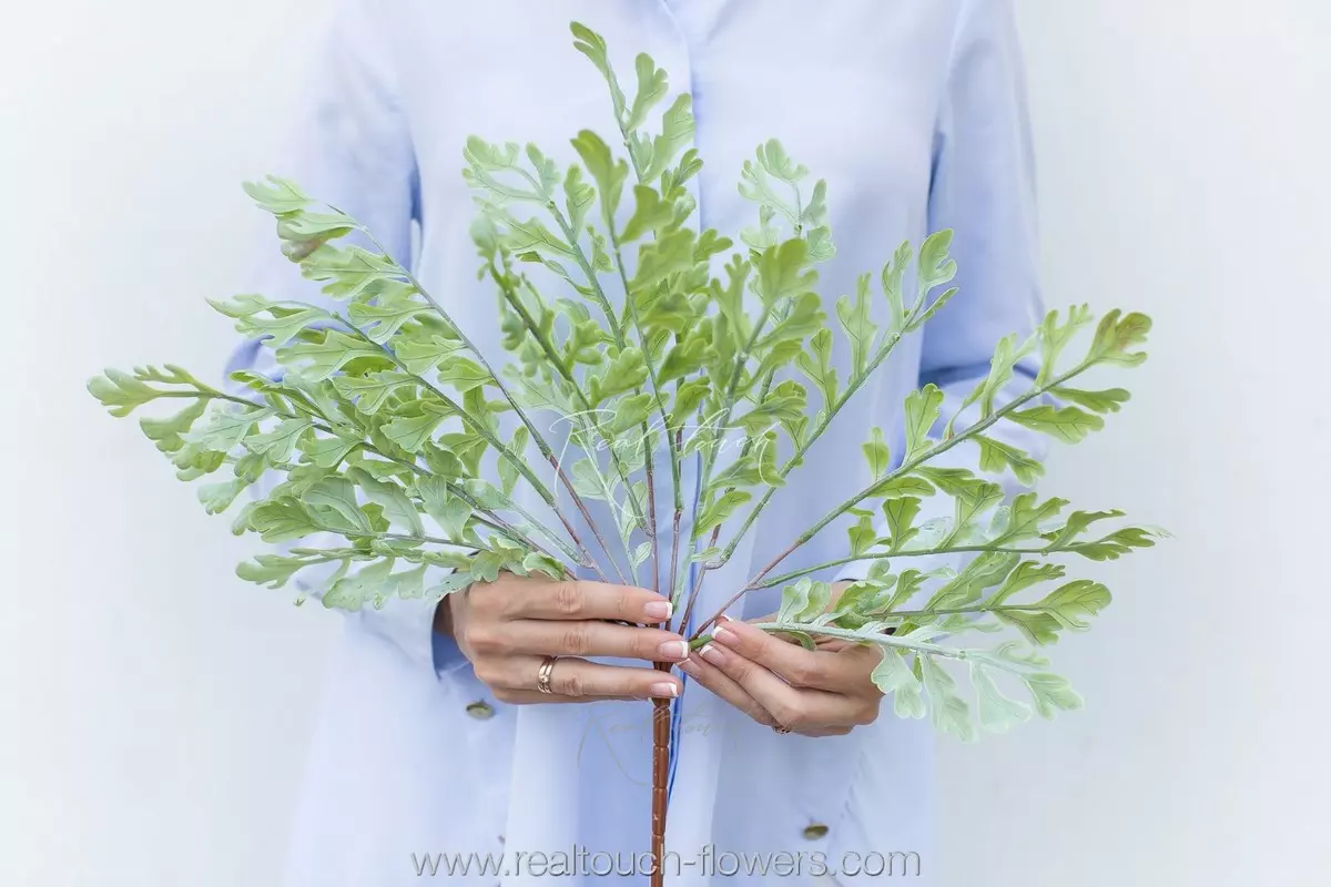 Greenery 6 - dusty green