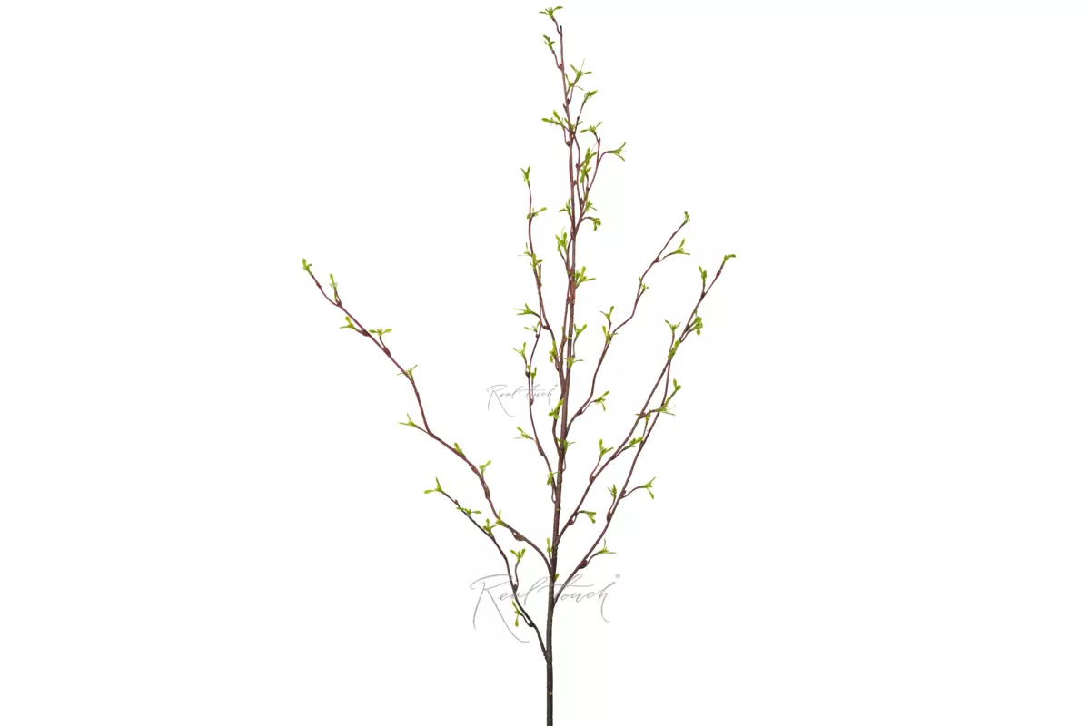 Spring Branch 59" - green