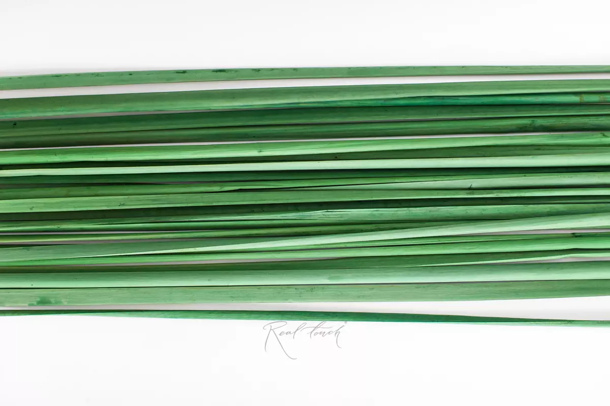 Decorative Sticks (20 Pieces per Bunch) - green