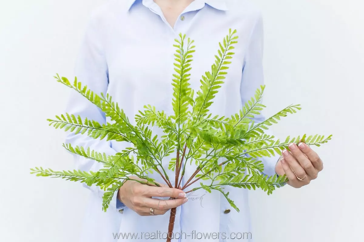 Real Touch greenery Adiantum pedatum  - green