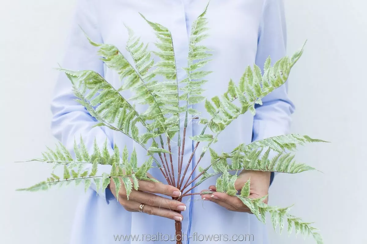 Woodwardia (Greenery 8) - dusty green