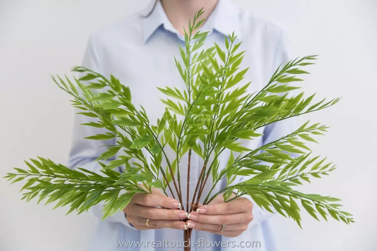  Grevillea (Greenery 7) - green