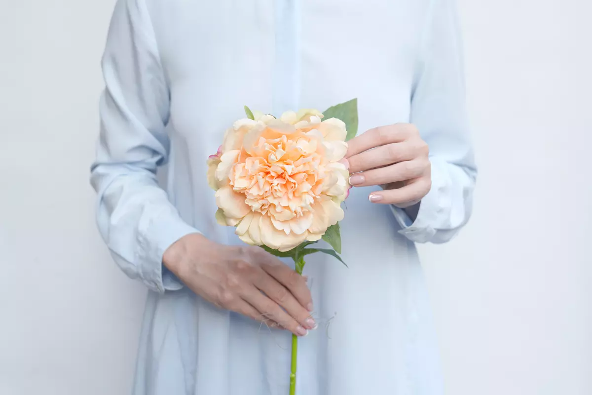 Peony Terry - Champagner