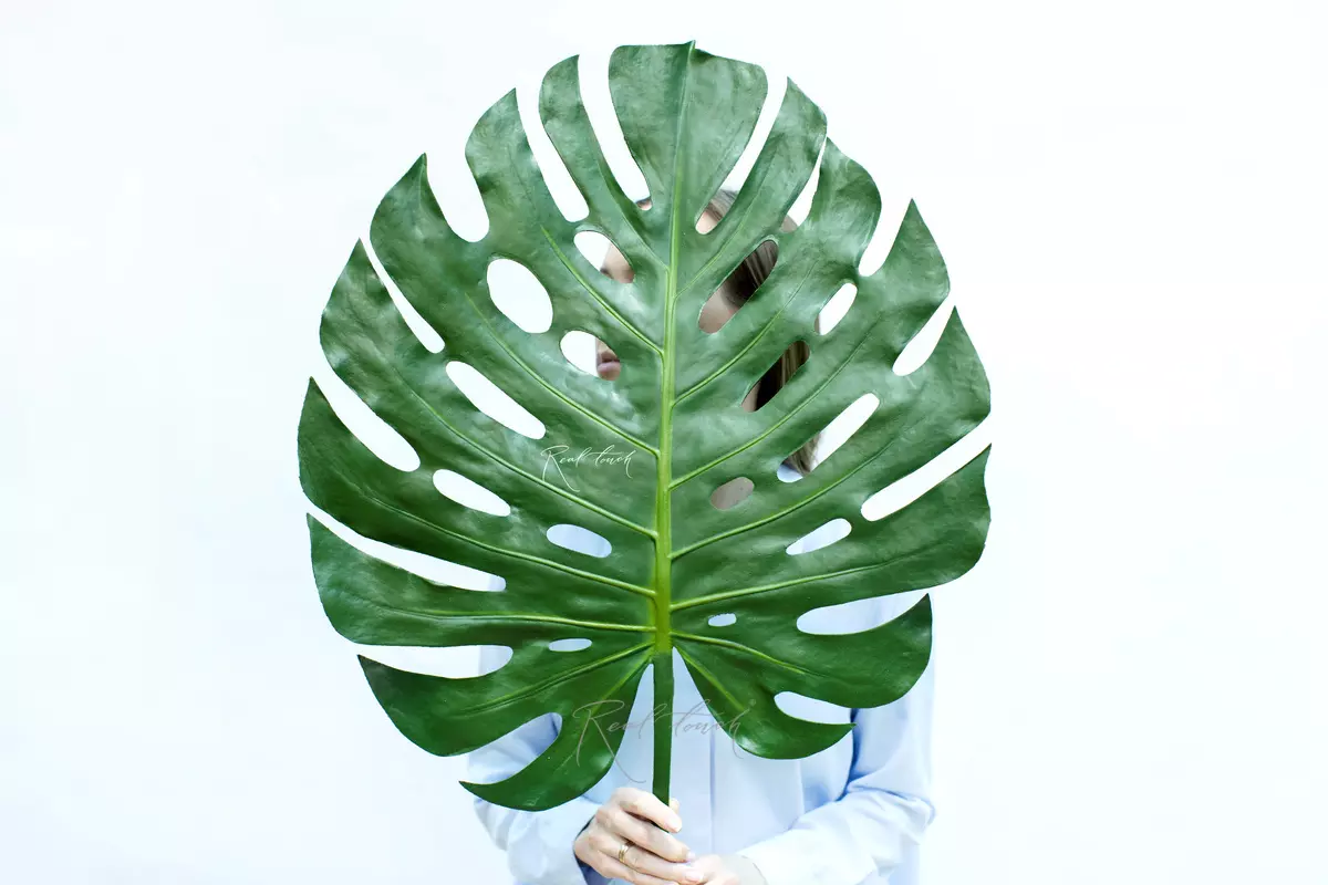 Real Touch Monstera Leaf SPU giant - green Real Touch Monstera Leaf SPU giant - green