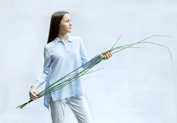 Horsetails bunch of 6pcs, 180cm - green