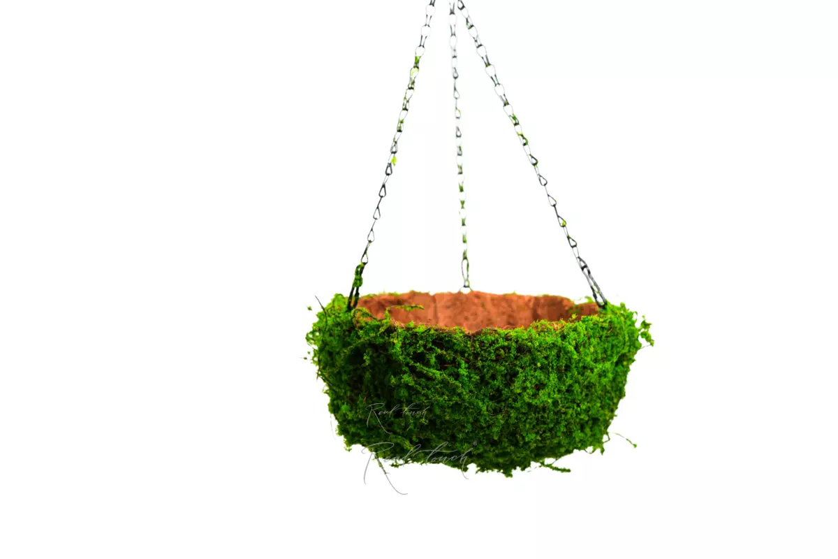 Hanging flowerpot Hemisphere Moss 2# - green