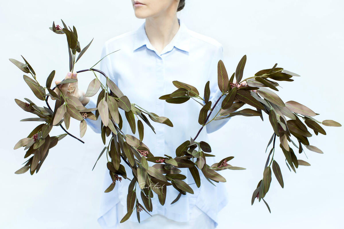 Eucalyptus Garland POPULUS Brown