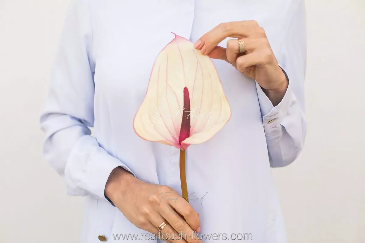 Large Real Touch Anthurium - white pink Large Real Touch Anthurium - white pink