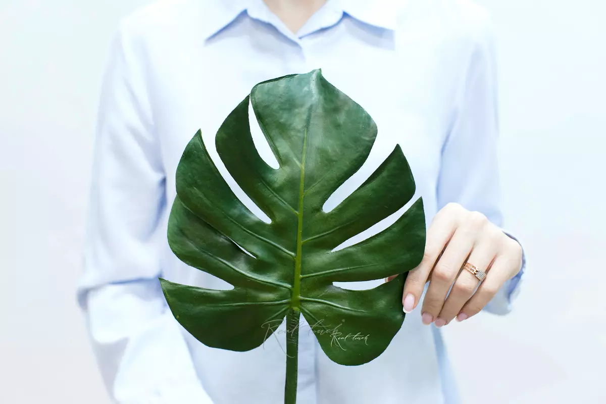 Monstera Leaf SPU small - green Monstera Leaf SPU small - green
