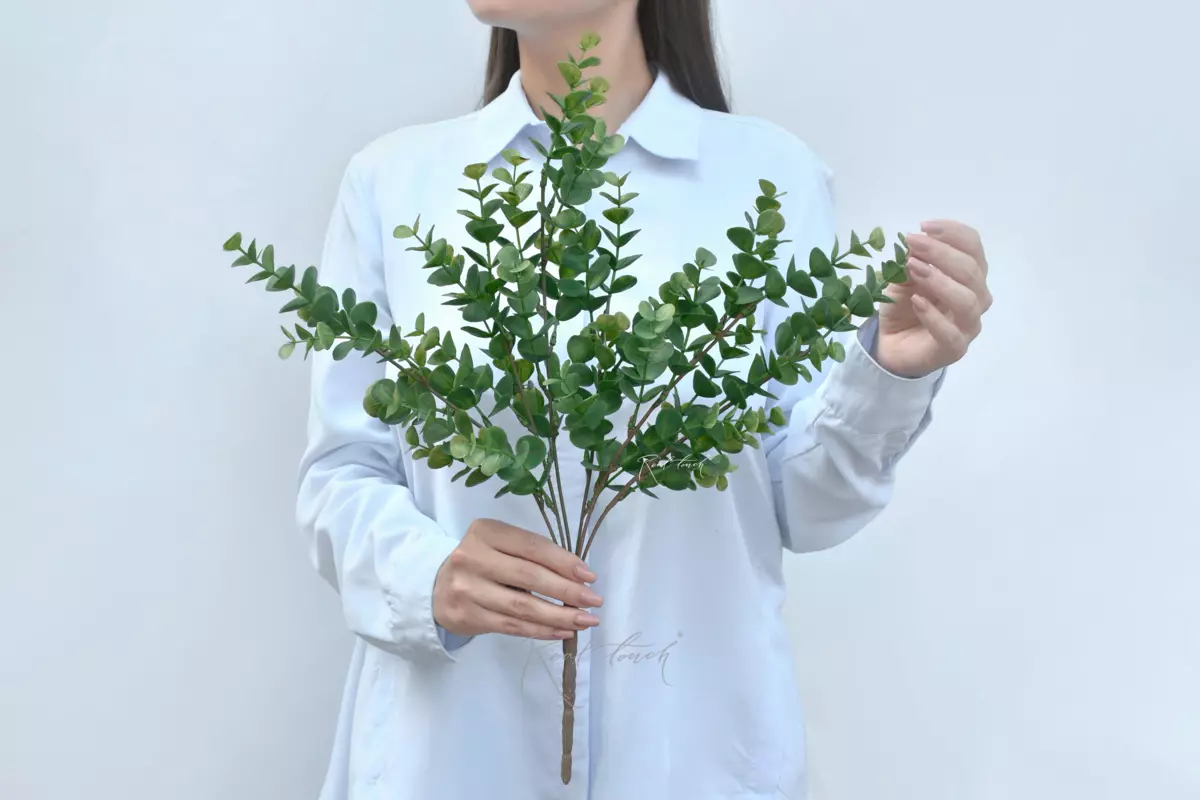 Eucalyptus bunch - green