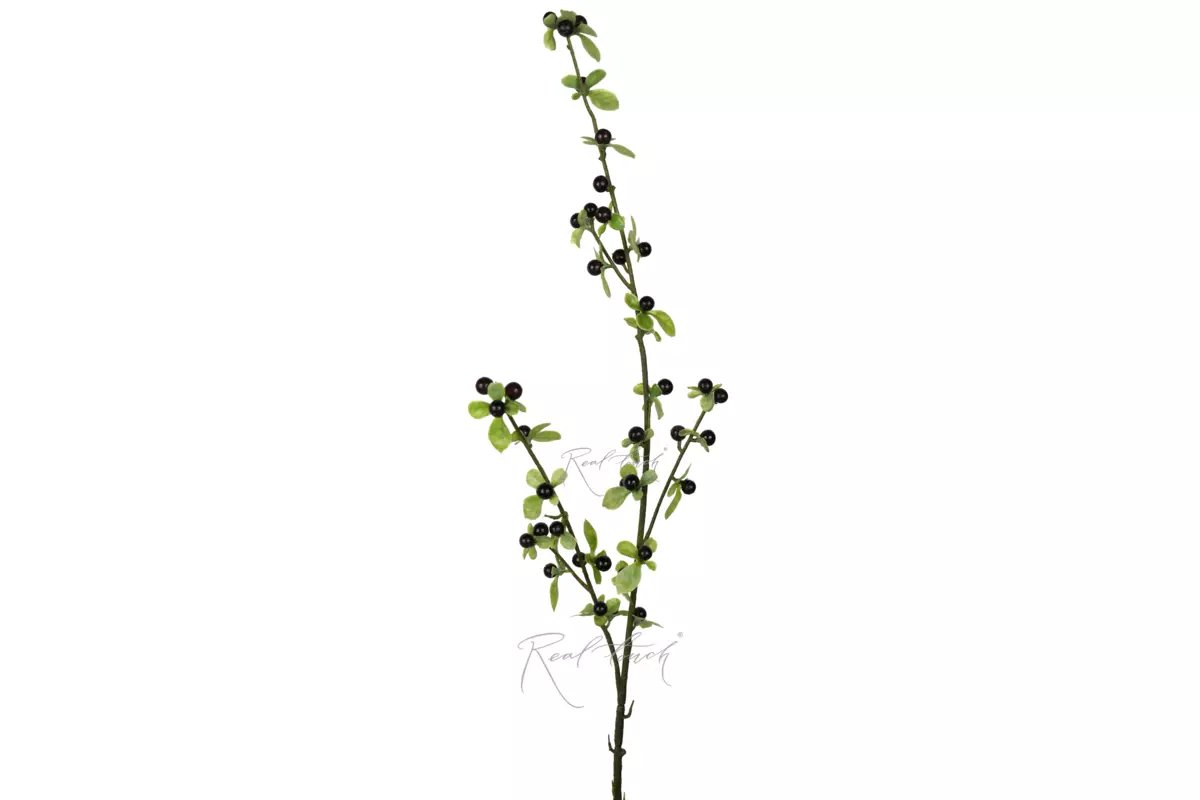Berry branch 33" - Black