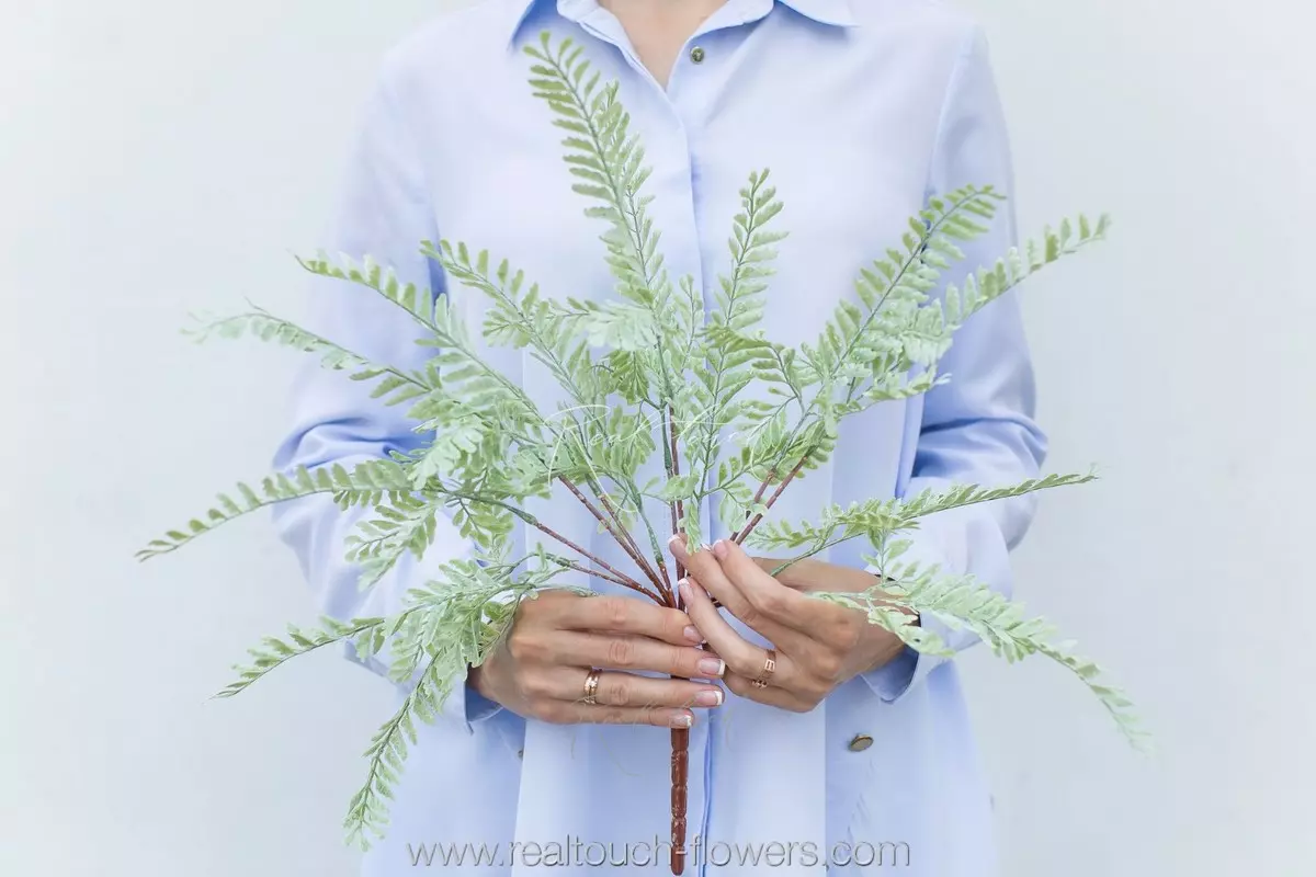 Real Touch greenery Adiantum pedatum  - dusty green