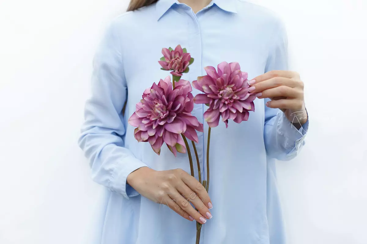 Dahlia - lilac