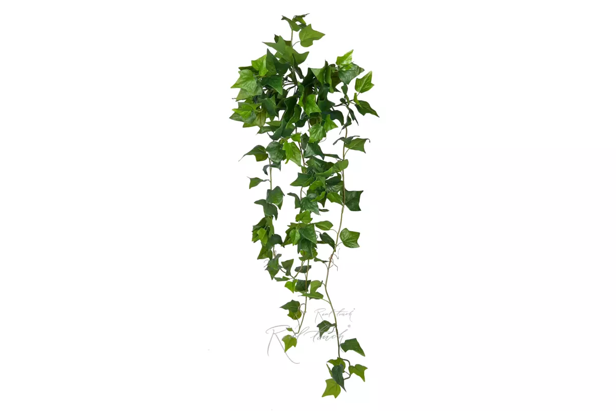 Ivy - bush 48" - green