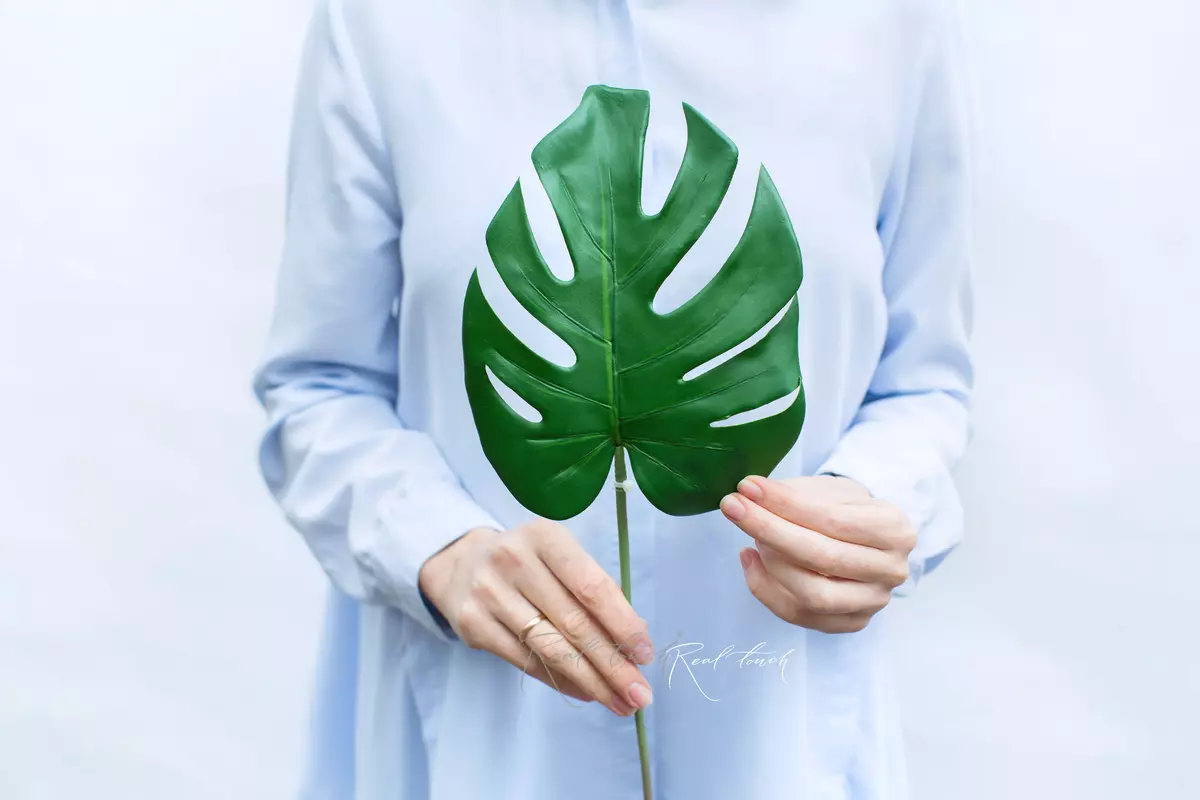 Monstera Leaf 3D small - green Monstera Leaf 3D small - green