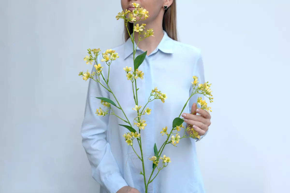 Creeping Gypsophila - yellow