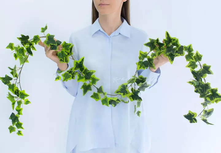 Hedera (ivy) 190 cm - white green