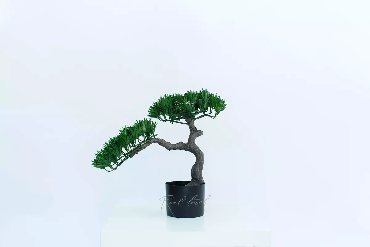 Small bonsai leaf (black trunk) - green