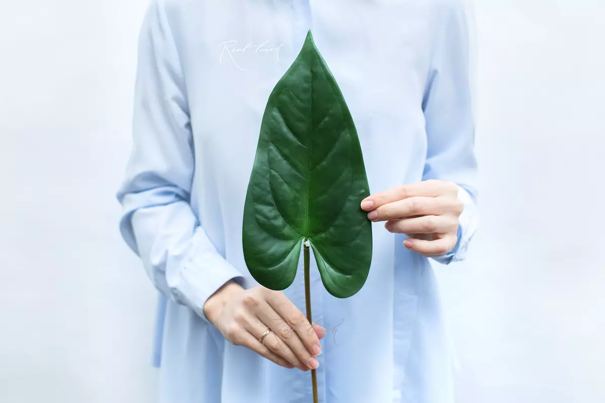 Сalla lilies 3D small - green Сalla lilies 3D small - green