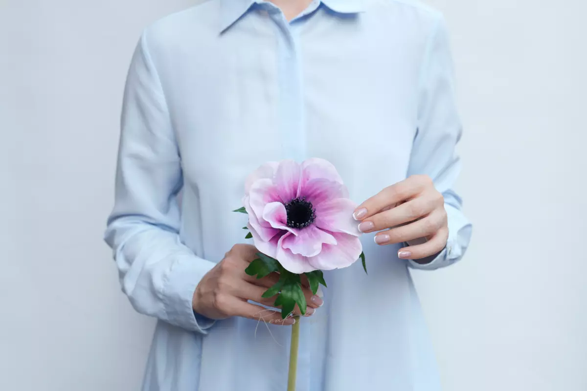 Anemone De Caen - white pink 
