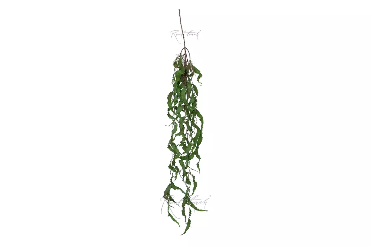 Branch HW-2032 - Green red