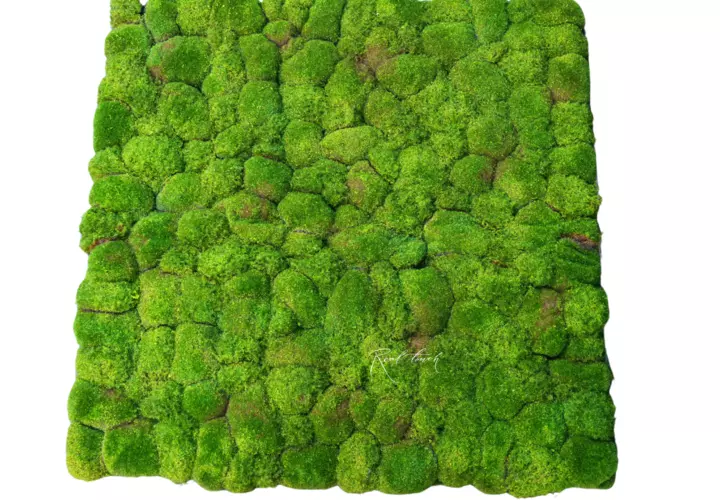 【おまけ付】 Moss hummocks big (set of 4pcs) BF5-5 - green スケートボード