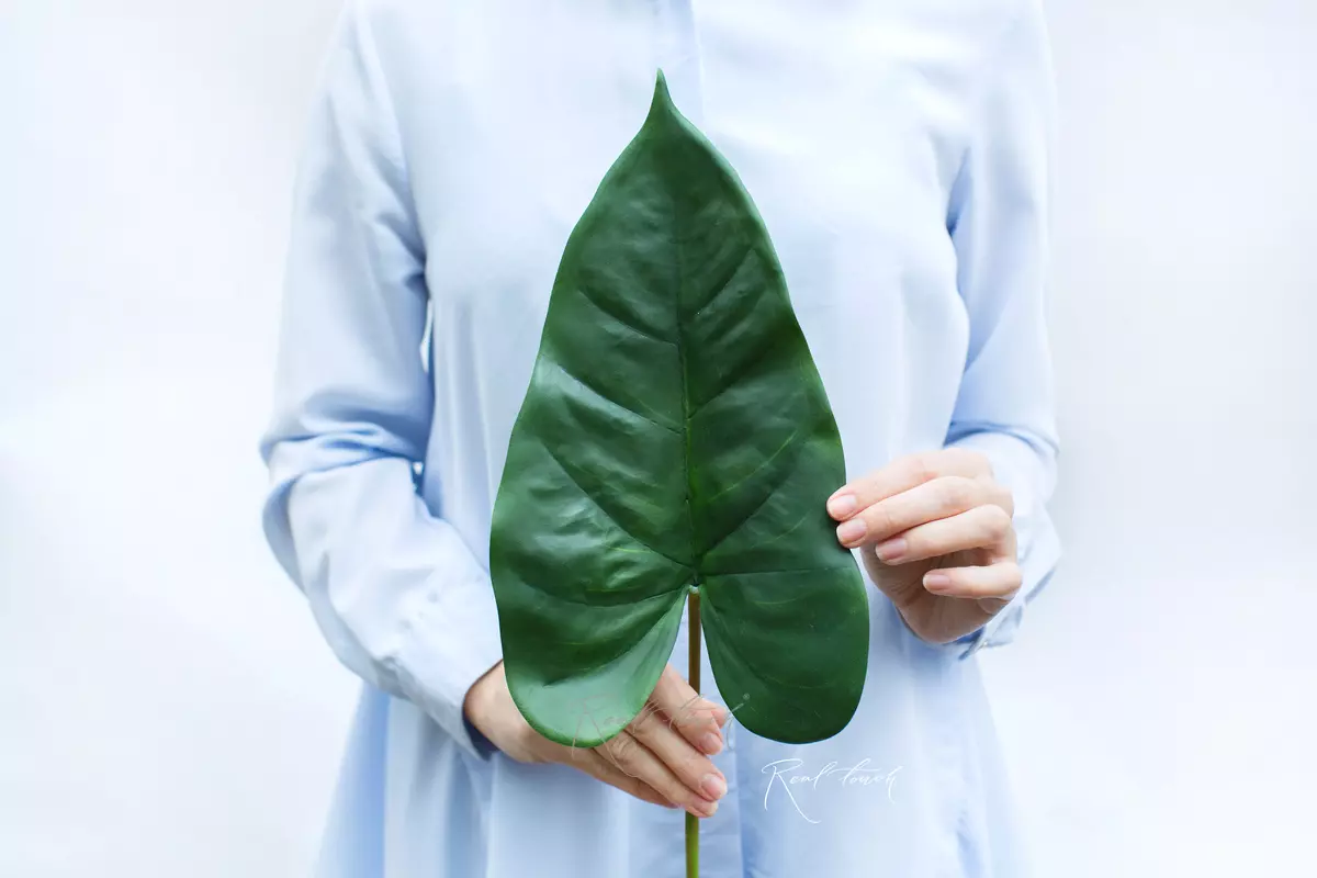 Сalla lilies 3D medium - green Сalla lilies 3D medium - green