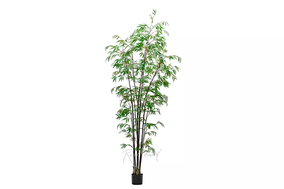 Real Touch Bamboo Bissetii 240cm - Dark green Real Touch Bamboo Bissetii 240cm - Dark green