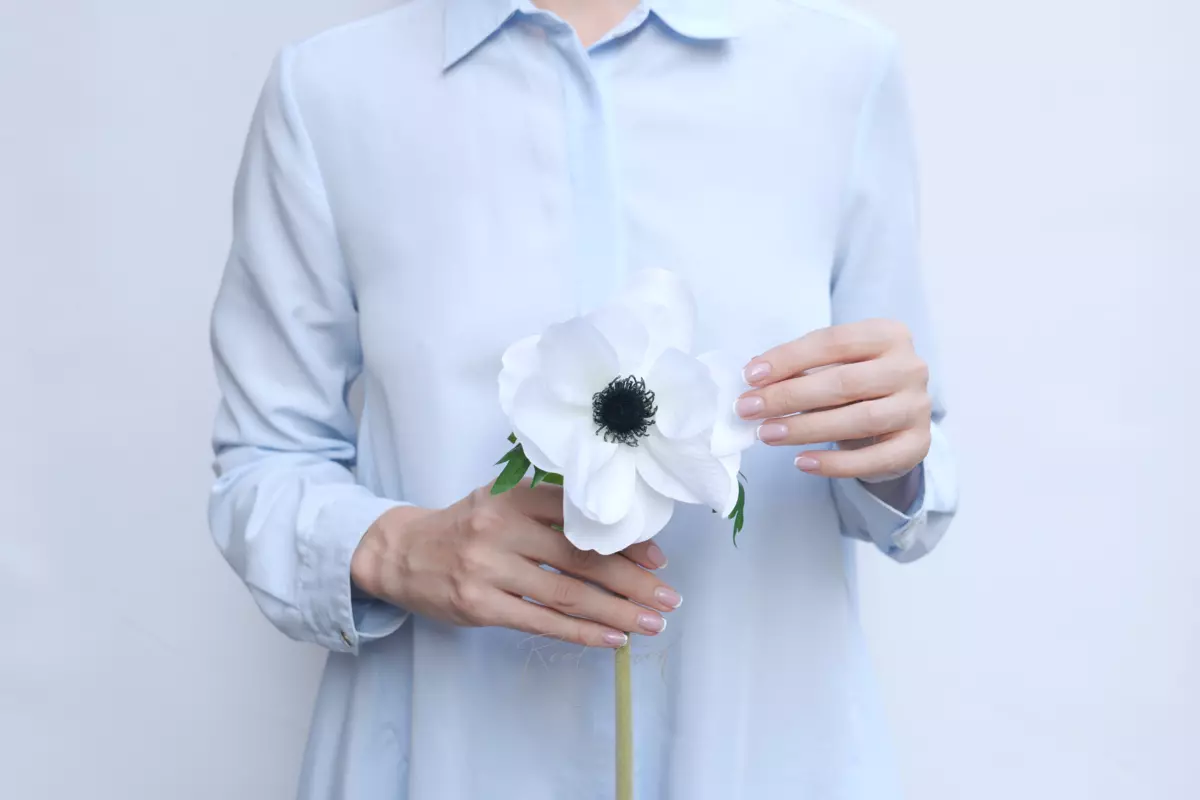 Anemone De Caen - white
