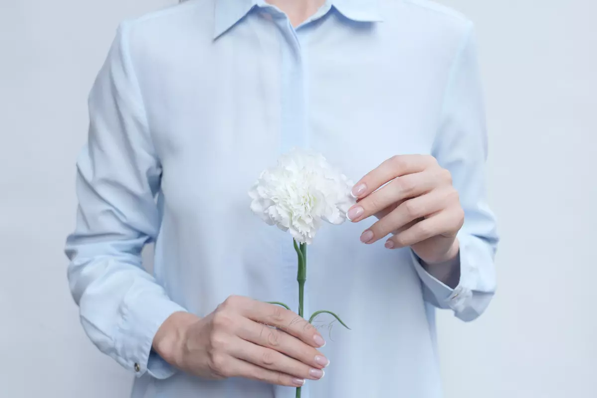 Carnation (dianthus) - white