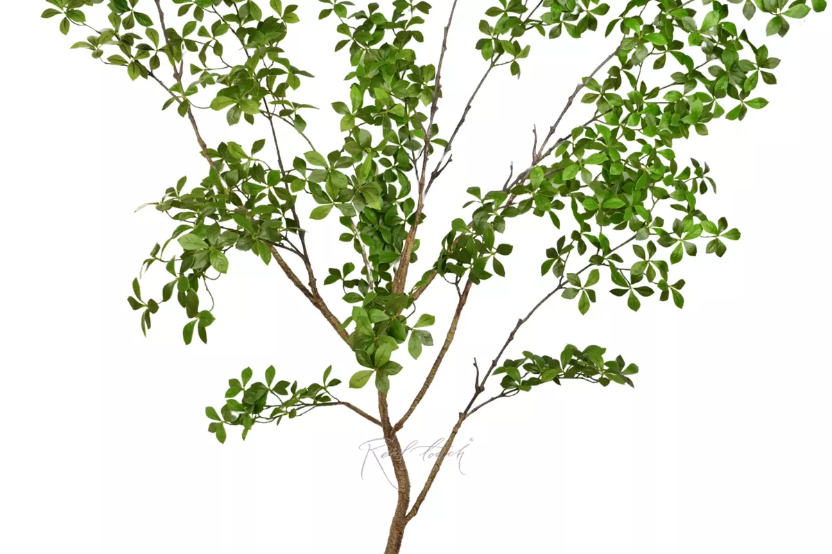 Banyan branch (leaves added) 220cm without pot - green