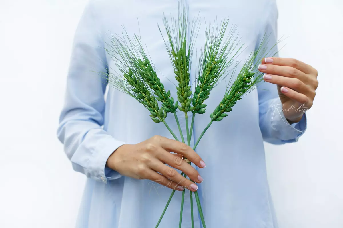 Bunch of wheat ears of 5 pcs - green