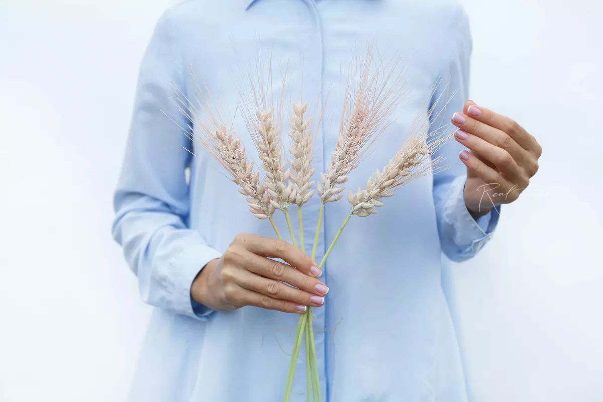 Bunch of wheat ears of 5 pcs - Light peach